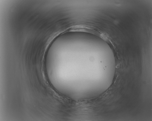 X0000052940289200507300025