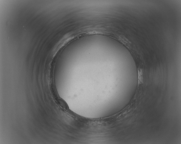 X0000052940291200507300025