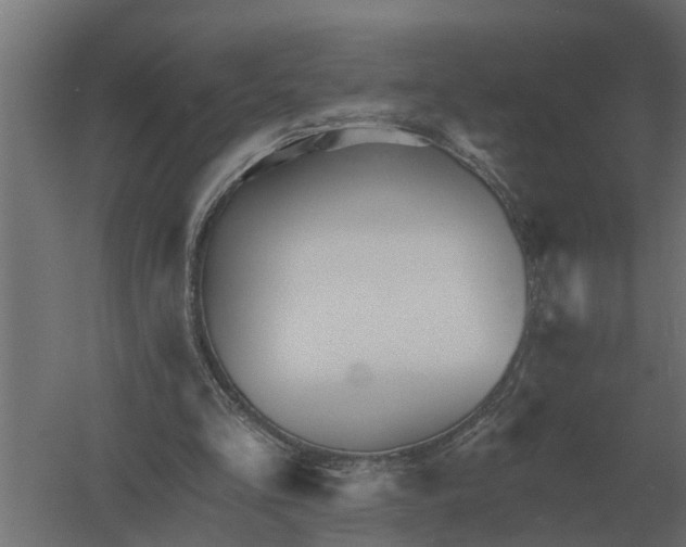 X0000052940293200507300025