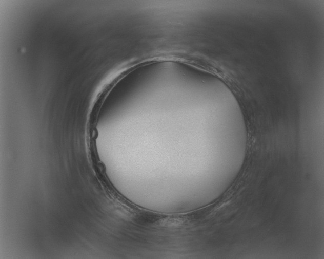 X0000052940294200507300025