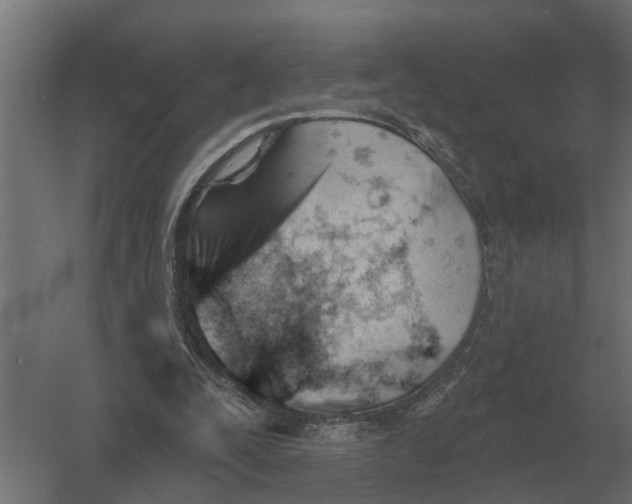 X0000052940295200507300025