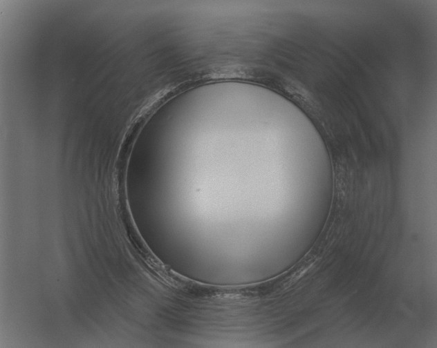 X0000052940298200507300025