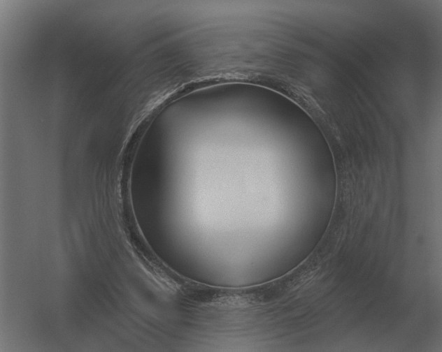 X0000052940299200507300025