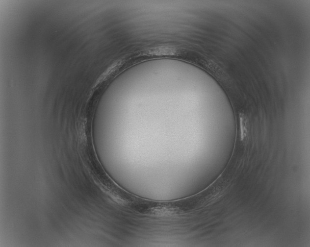 X0000052940300200507300025