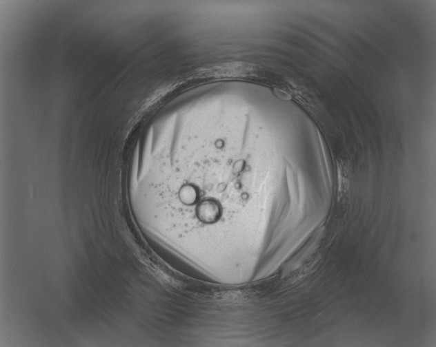 X0000052940301200507300025