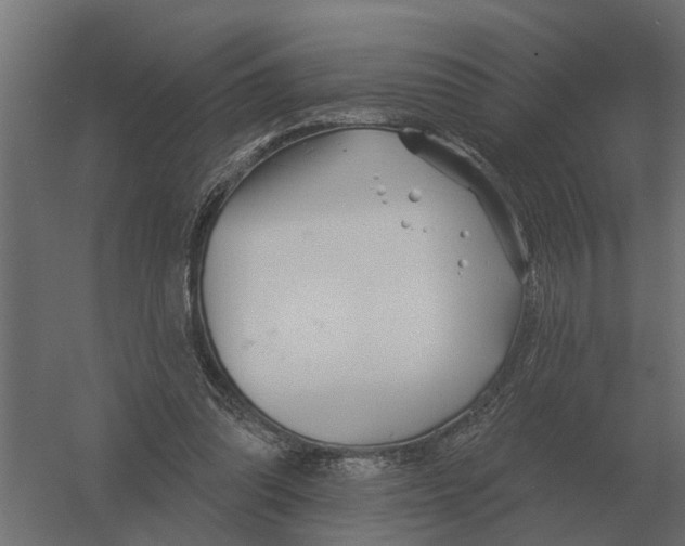 X0000052940302200507300025