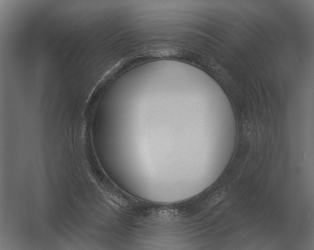 X0000052940304200507300025