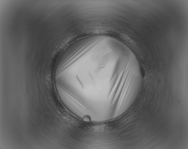 X0000052940306200507300025