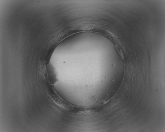 X0000052940307200507300025