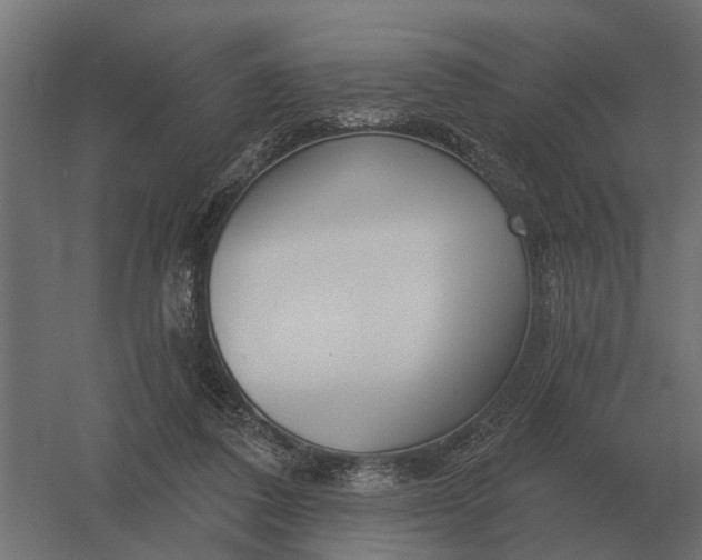 X0000052940308200507300025