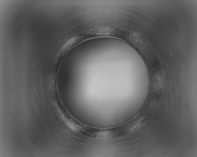 X0000052940309200507300025