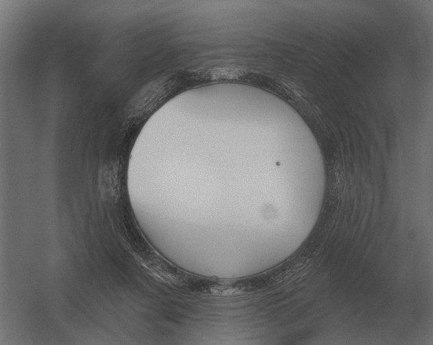 X0000052940311200507300025