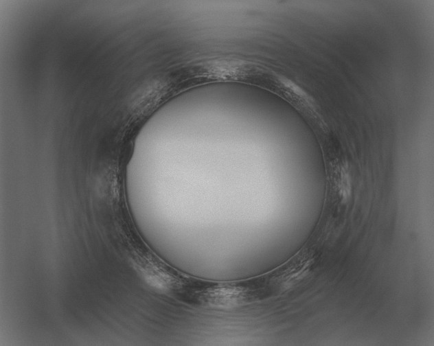 X0000052940313200507300025