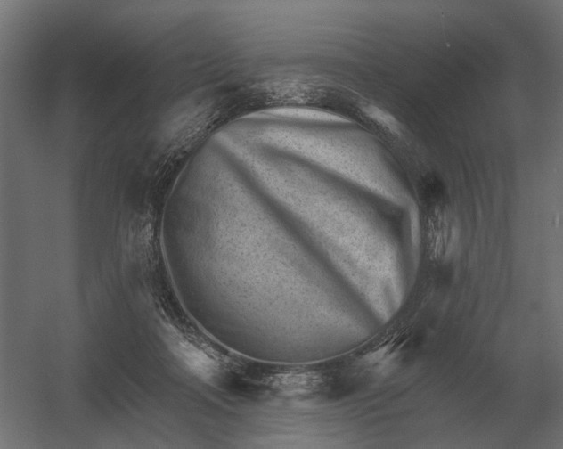 X0000052940314200507300025