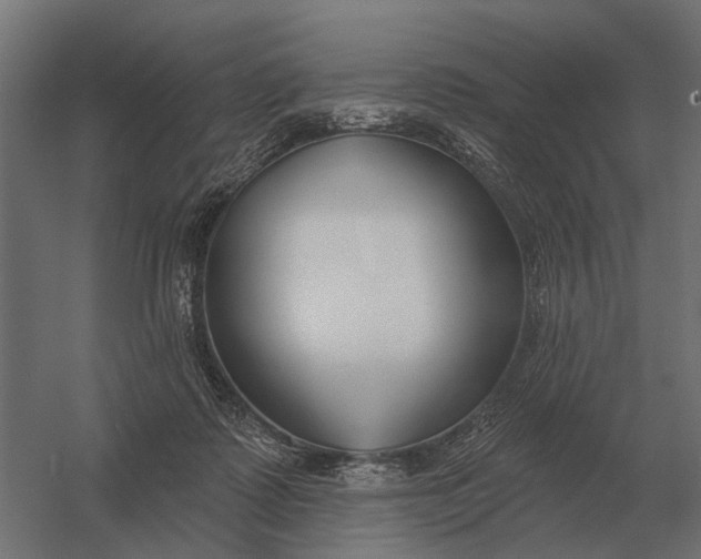 X0000052940315200507300025