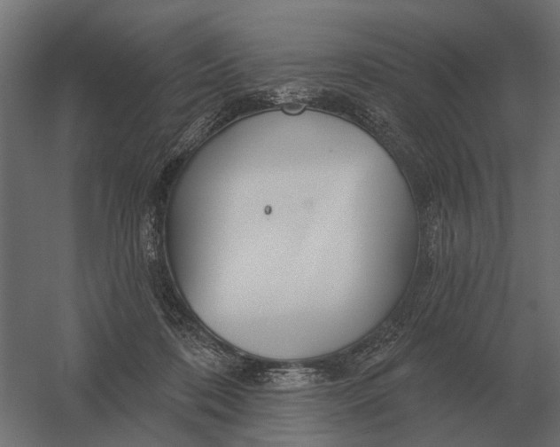 X0000052940316200507300025