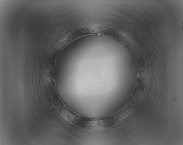 X0000052940317200507300025