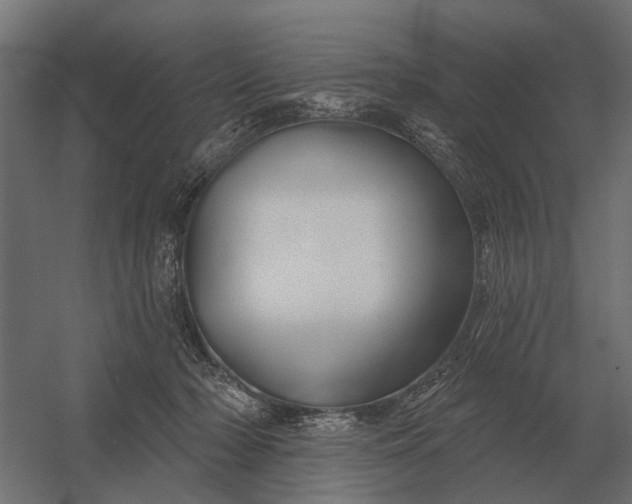 X0000052940318200507300025