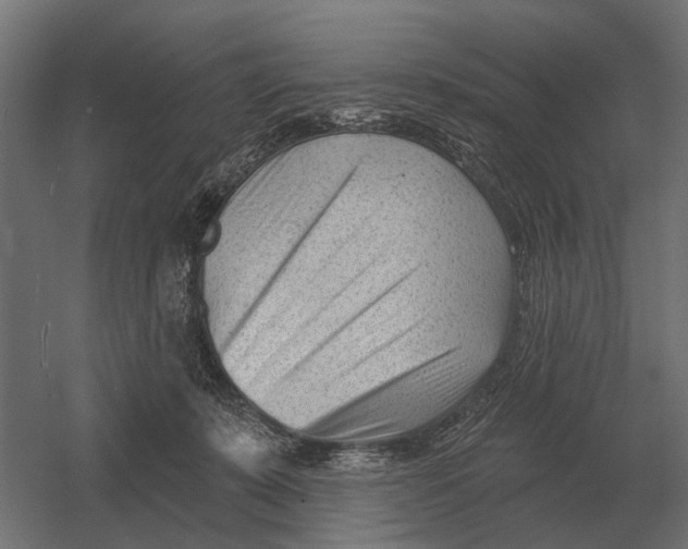 X0000052940319200507300025