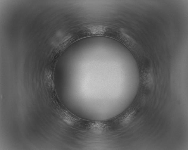 X0000052940321200507300025