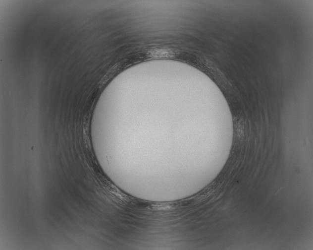 X0000052940322200507300025