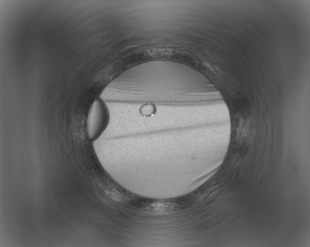 X0000052940323200507300025