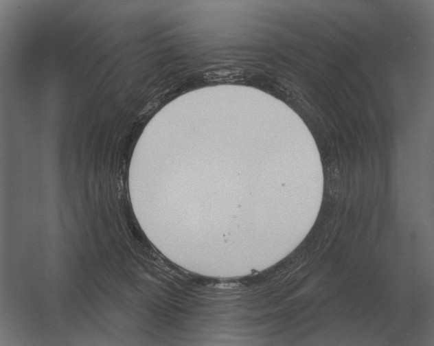 X0000052940324200507300025