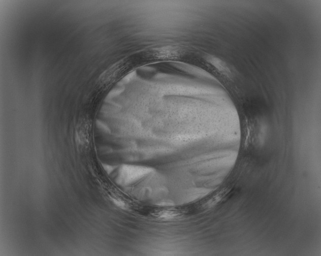 X0000052940325200507300025