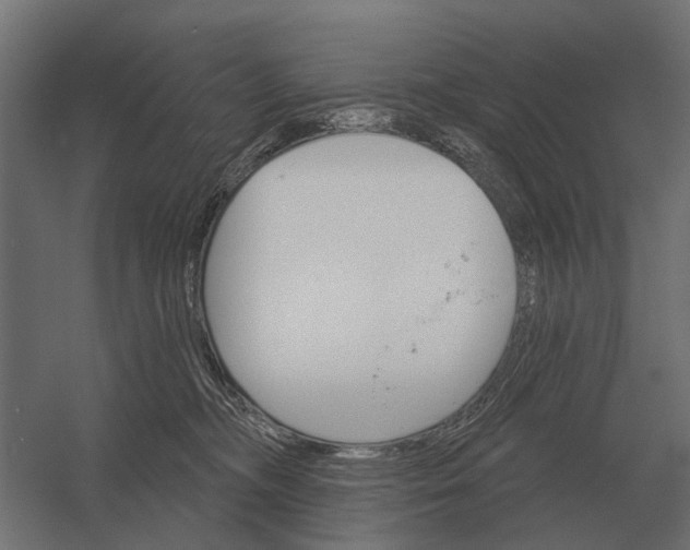 X0000052940326200507300025