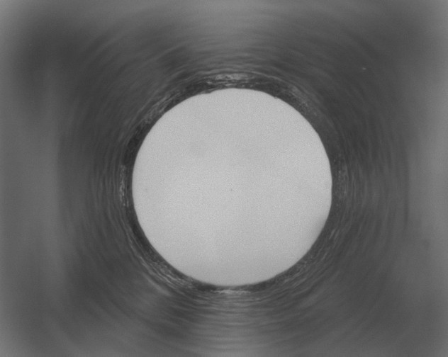 X0000052940328200507300025