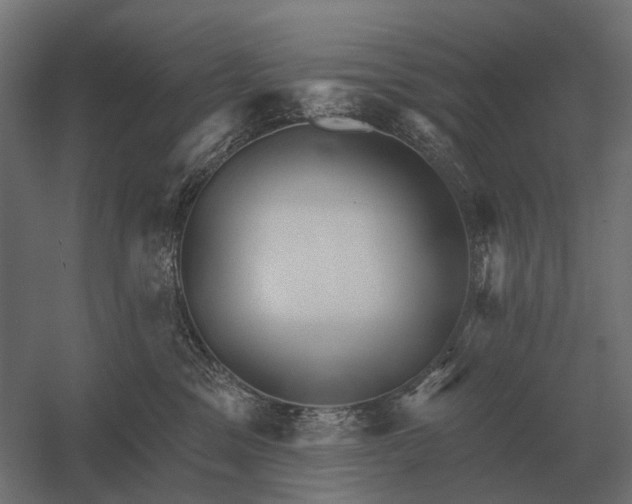 X0000052940329200507300025