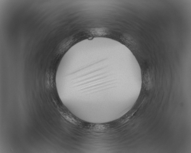 X0000052940330200507300025