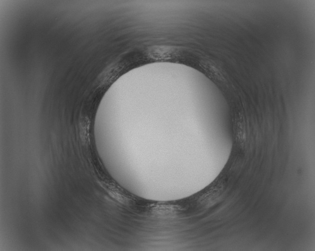 X0000052940332200507300025