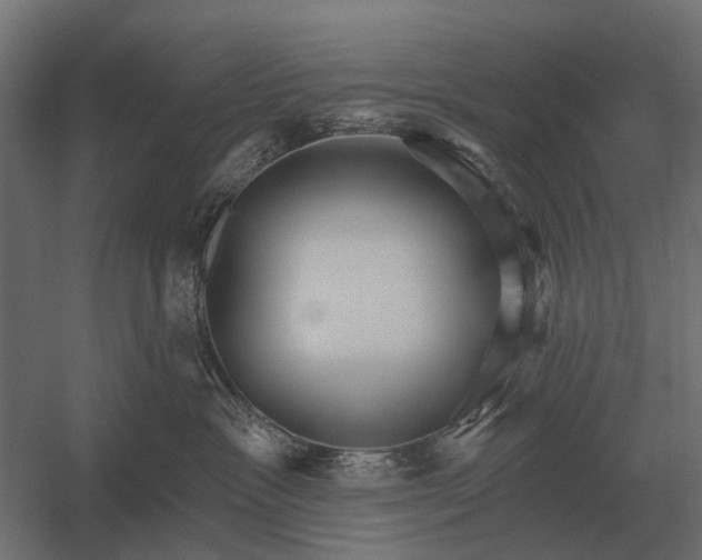 X0000052940333200507300025