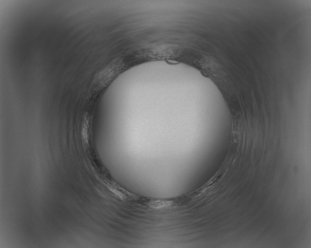 X0000052940334200507300025