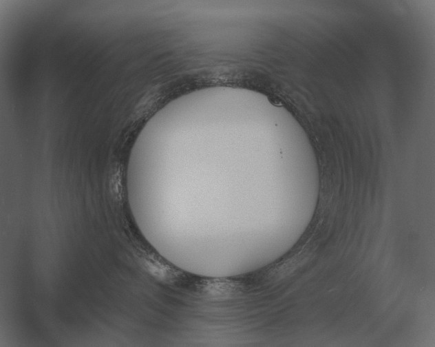 X0000052940336200507300025