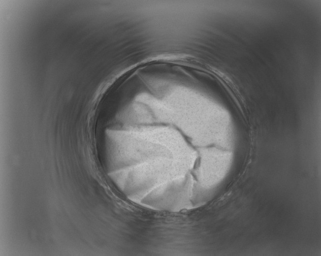 X0000052940337200507300024