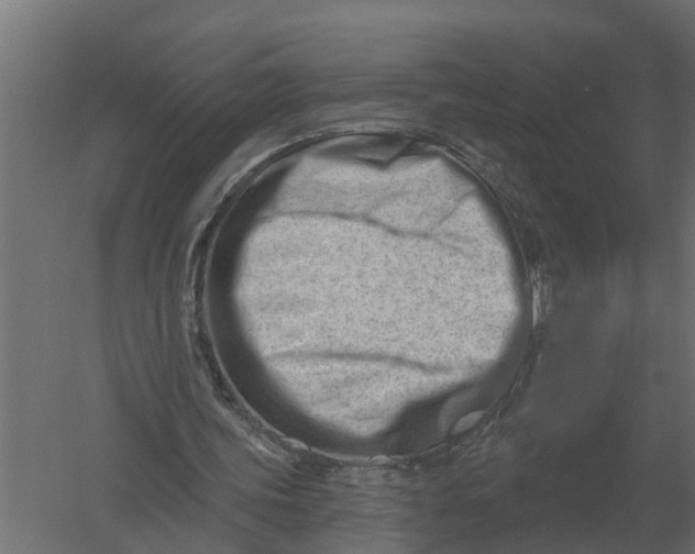 X0000052940339200507300024