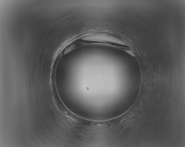 X0000052940340200507300024