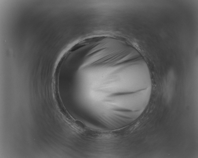 X0000052940342200507300024