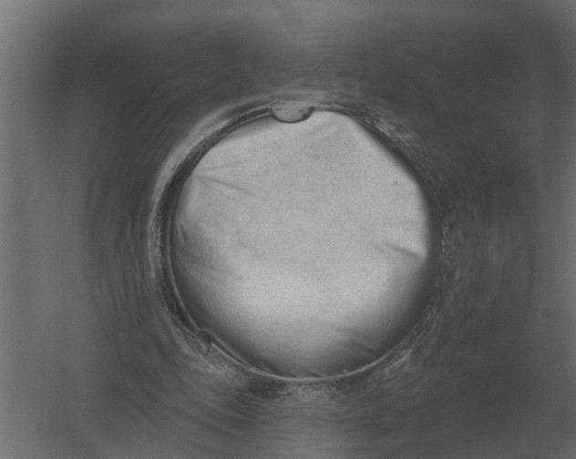 X0000052940343200507300024