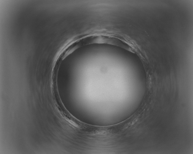 X0000052940344200507300024