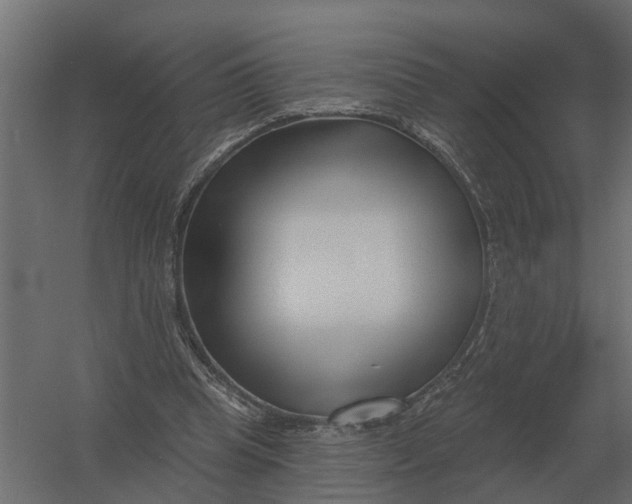 X0000052940345200507300024