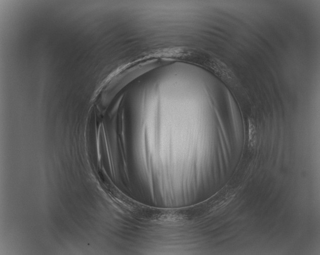 X0000052940348200507300024