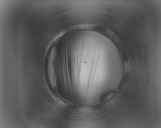 X0000052940349200507300024