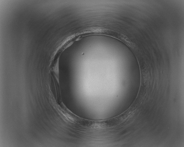 X0000052940350200507300024