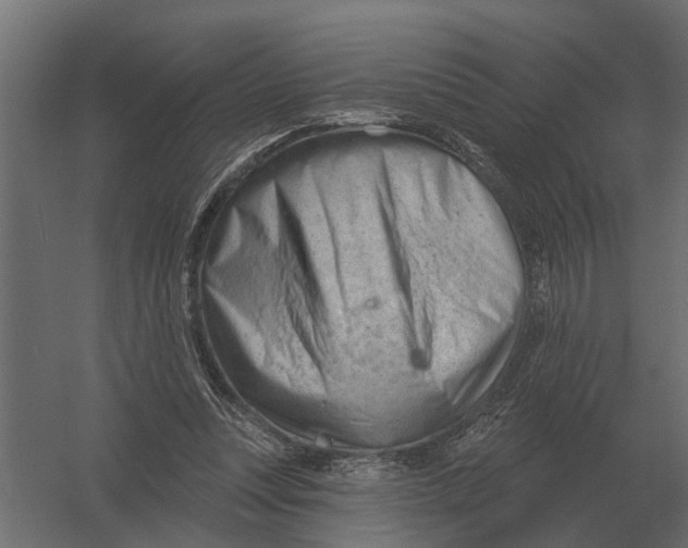 X0000052940351200507300024