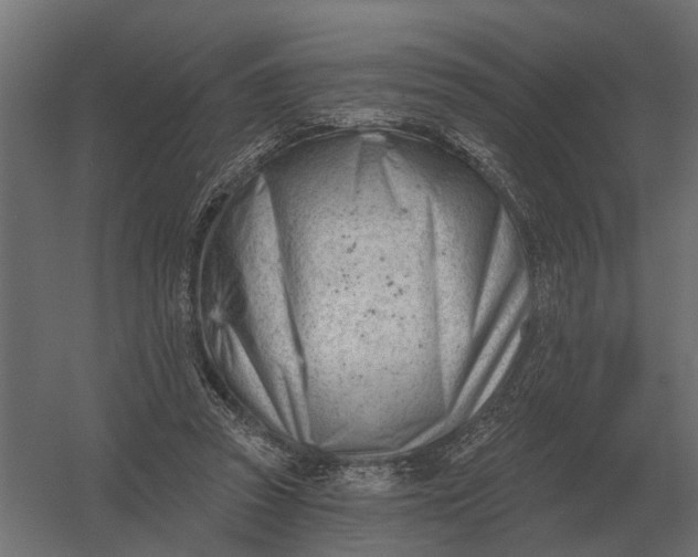 X0000052940353200507300024