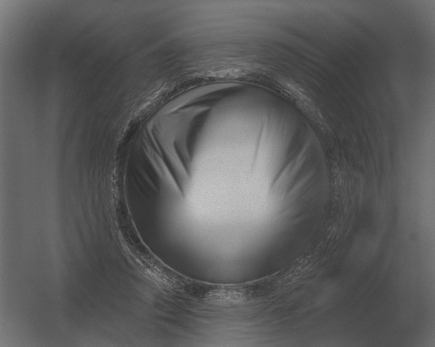 X0000052940354200507300024