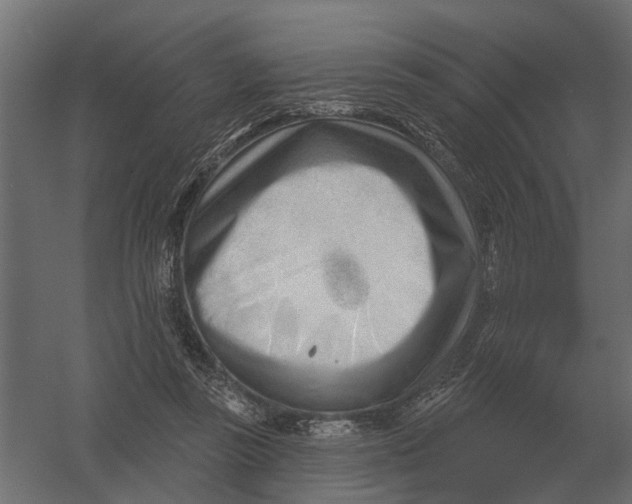 X0000052940355200507300024